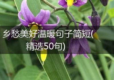 乡愁美好温暖句子简短(精选50句)