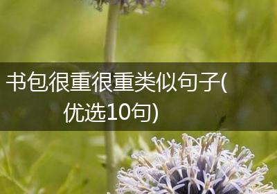 书包很重很重类似句子(优选10句)
