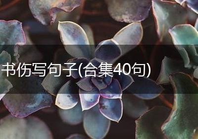 书伤写句子(合集40句)