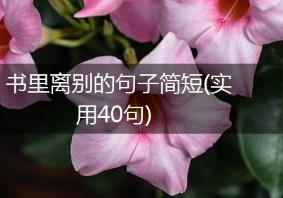 书里离别的句子简短(实用40句)