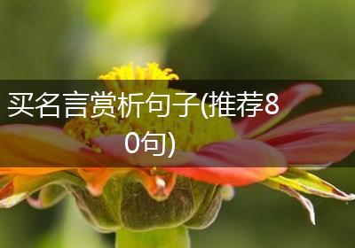 买名言赏析句子(推荐80句)