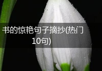 书的惊艳句子摘抄(热门10句)