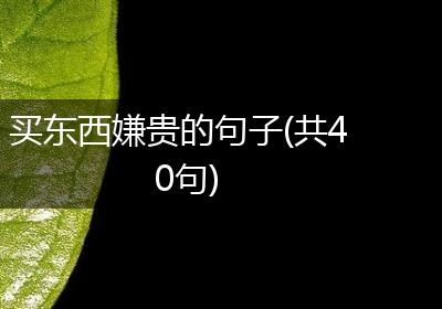 买东西嫌贵的句子(共40句)