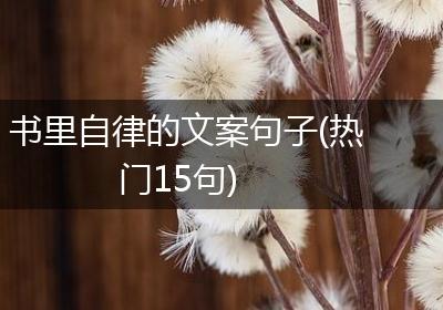 书里自律的文案句子(热门15句)