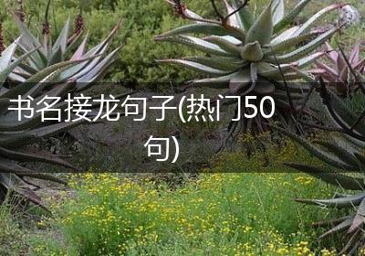 书名接龙句子(热门50句)