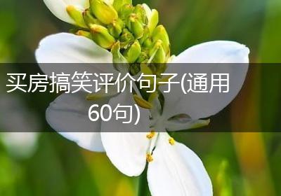 买房搞笑评价句子(通用60句)