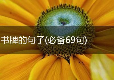 书牌的句子(必备69句)