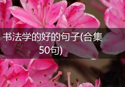 书法学的好的句子(合集50句)
