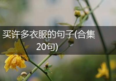 买许多衣服的句子(合集20句)