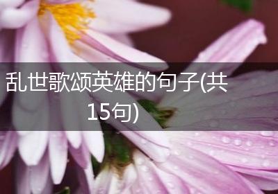 乱世歌颂英雄的句子(共15句)