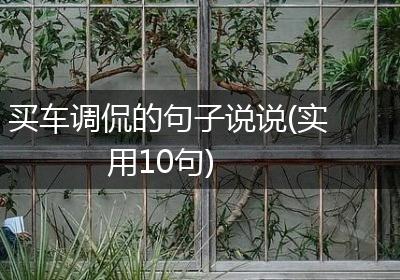 买车调侃的句子说说(实用10句)