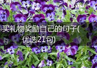买礼物奖励自己的句子(优选21句)