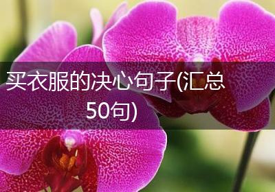 买衣服的决心句子(汇总50句)