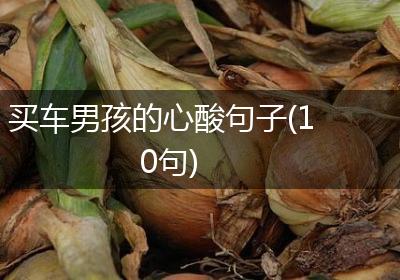 买车男孩的心酸句子(10句)