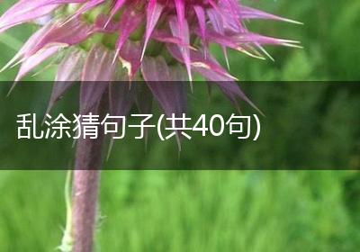 乱涂猜句子(共40句)