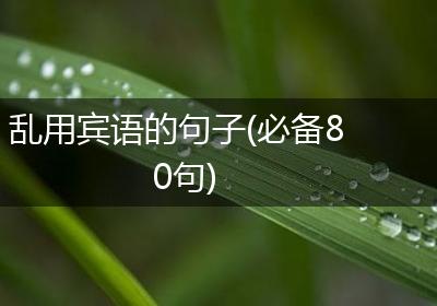 乱用宾语的句子(必备80句)