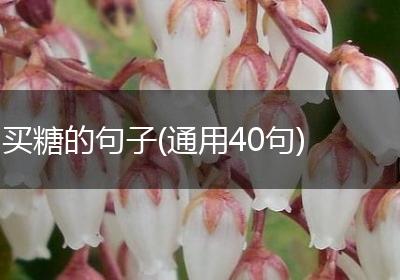 买糖的句子(通用40句)