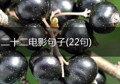 二十二电影句子(22句)