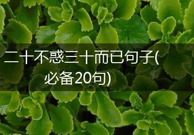 二十不惑三十而已句子(必备20句)