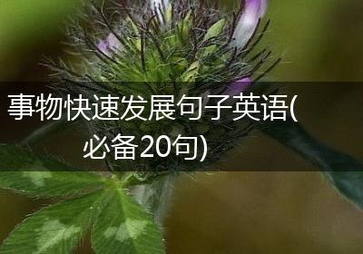 事物快速发展句子英语(必备20句)