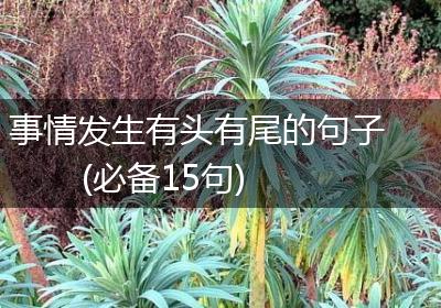 事情发生有头有尾的句子(必备15句)