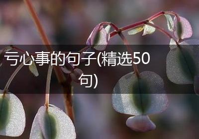 亏心事的句子(精选50句)