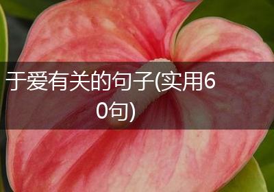 于爱有关的句子(实用60句)