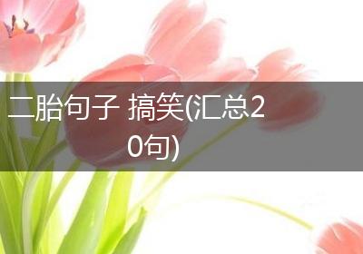 二胎句子 搞笑(汇总20句)
