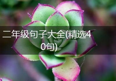 二年级句子大全(精选40句)