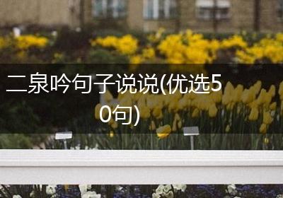 二泉吟句子说说(优选50句)