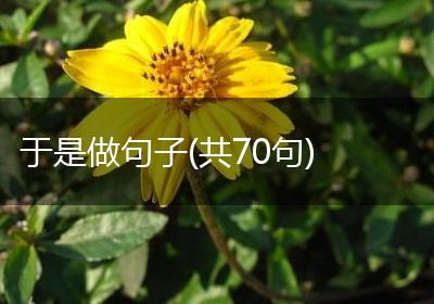 于是做句子(共70句)