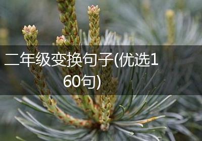 二年级变换句子(优选160句)