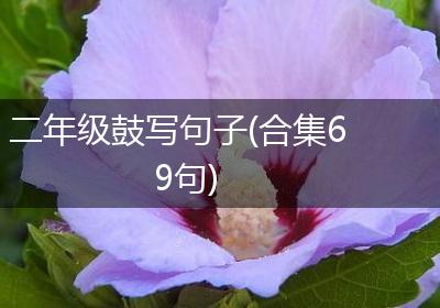 二年级鼓写句子(合集69句)