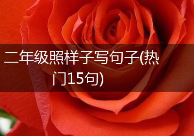 二年级照样子写句子(热门15句)