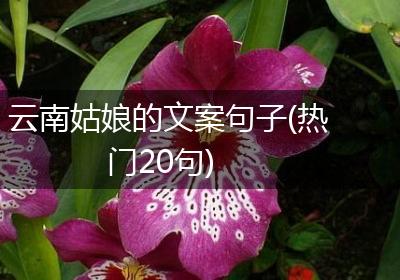 云南姑娘的文案句子(热门20句)