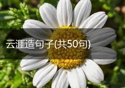 云涯造句子(共50句)