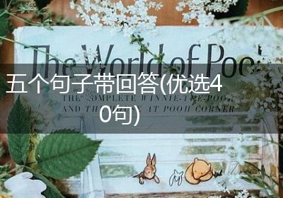 五个句子带回答(优选40句)