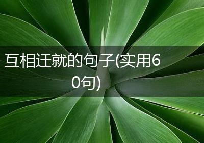 互相迁就的句子(实用60句)