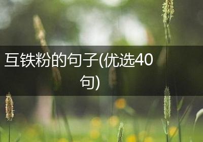 互铁粉的句子(优选40句)