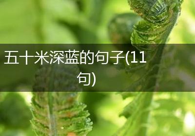 五十米深蓝的句子(11句)