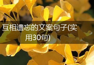 互相遗忘的文案句子(实用30句)