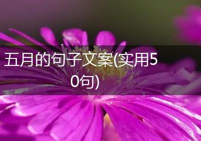 五月的句子文案(实用50句)