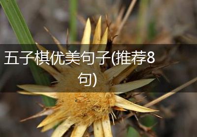 五子棋优美句子(推荐8句)