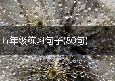 五年级练习句子(80句)