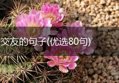交友的句子(优选80句)
