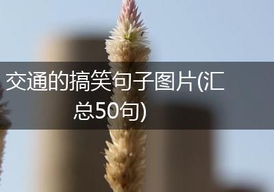 交通的搞笑句子图片(汇总50句)