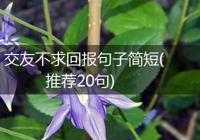交友不求回报句子简短(推荐20句)