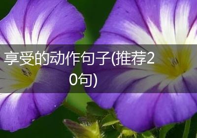 享受的动作句子(推荐20句)