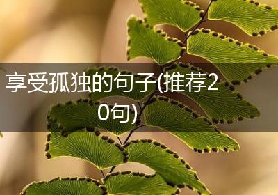 享受孤独的句子(推荐20句)