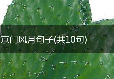 京门风月句子(共10句)
